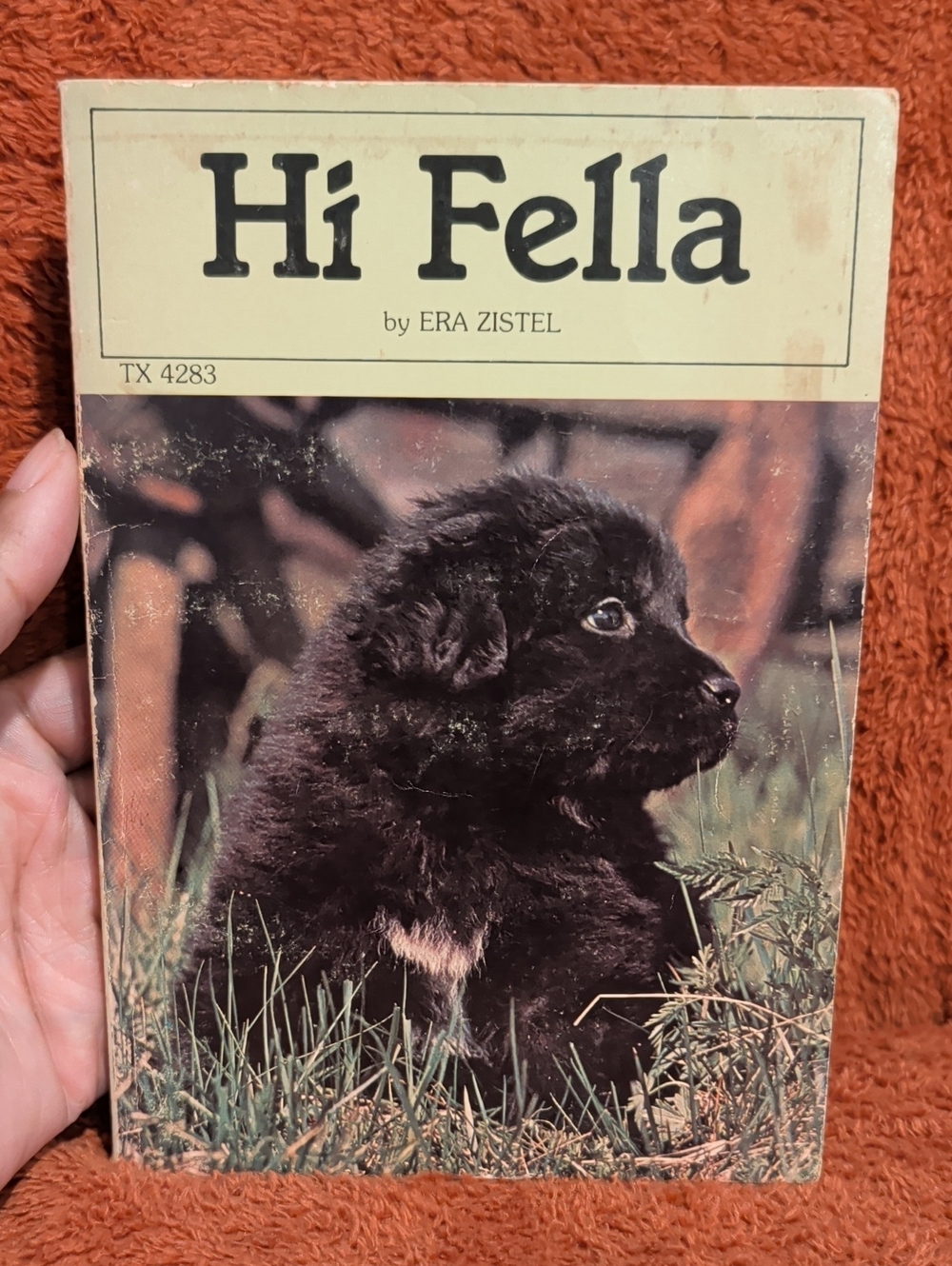 Hi Fella - by Era Zistel